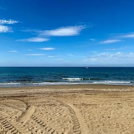 Nikkibeachfront Marbella