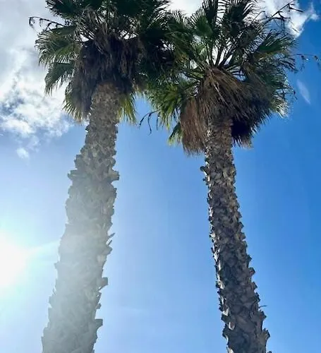 Nikkibeachfront Marbellac